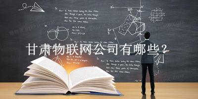 甘肅物聯網公司