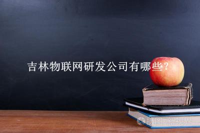 吉林物聯網研發公司