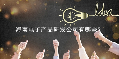 海南電子產品研發公司