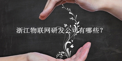 浙江物聯網研發公司
